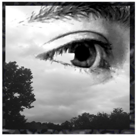 To hurt or not to be - DEMO